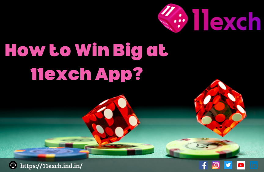 How to Win Big at 11exch App?