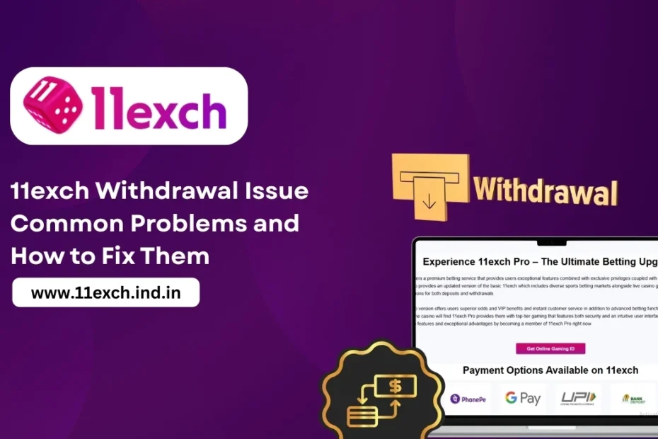 11exch Withdrawal Issue Common Problems and How to Fix Them